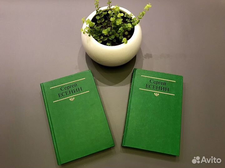 Сергей Есенин 2 тома
