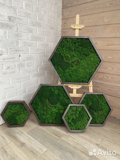 Соты из стабилизированного мха