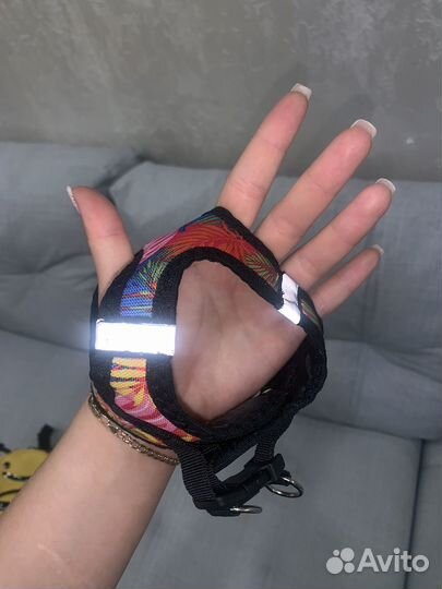 Шлейка для животных