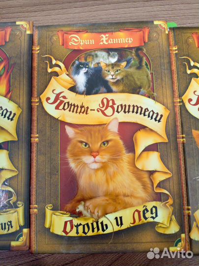 Книги Эрин Хантер 