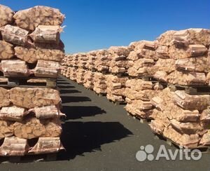 Дрова березовые