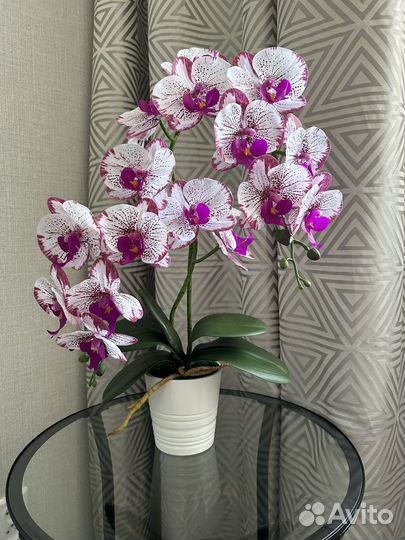 Искусственная орхидея Real touch из латекса