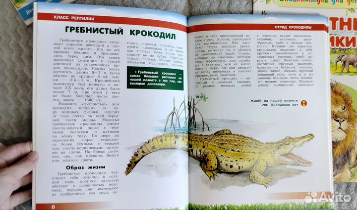 Энциклопедии для детей