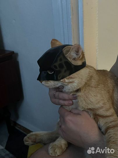 Маска Бетмена