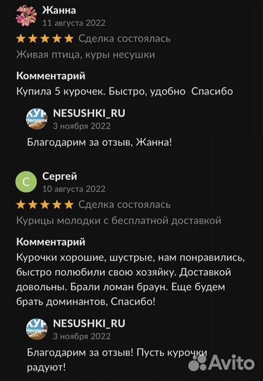 Курочки Несушки от 4 месяцев