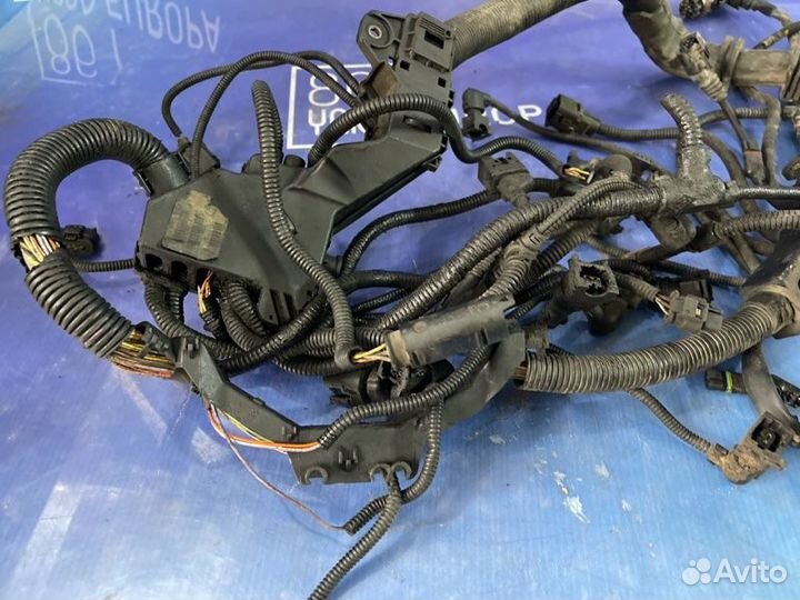 Проводка двс Bmw X6 E71 N63B44 2008