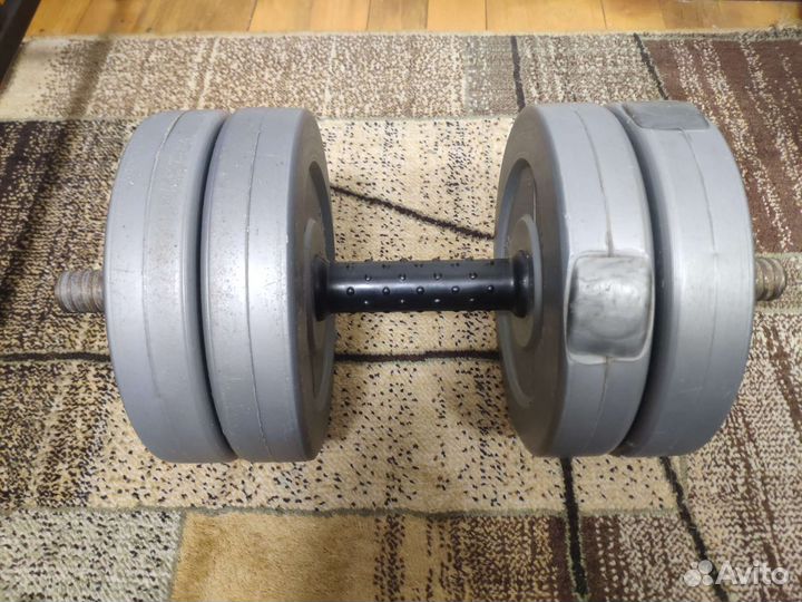 Гантели разборные