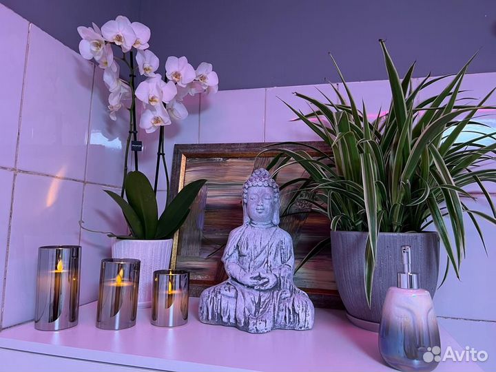 Тайский массаж