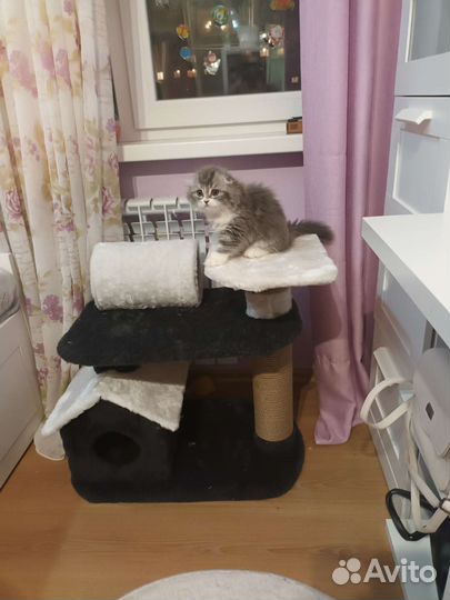 Домик для кошки с когтеточкой