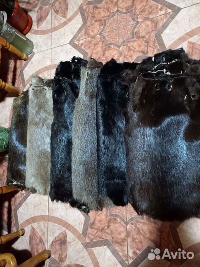 Шкуры нутрии