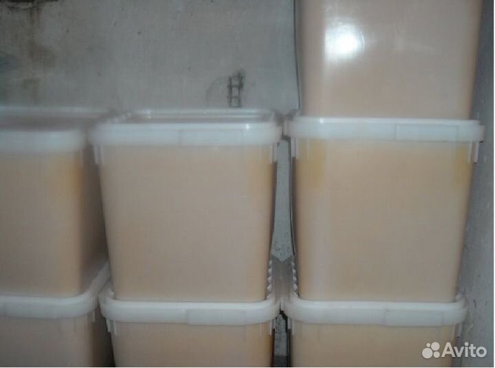 Мед натуральный оптом