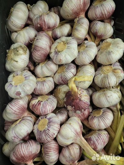 Доставка овощей (бакалеи)