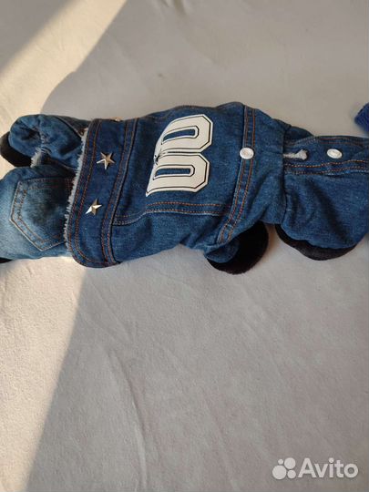 Одежда для маленьких собак xs