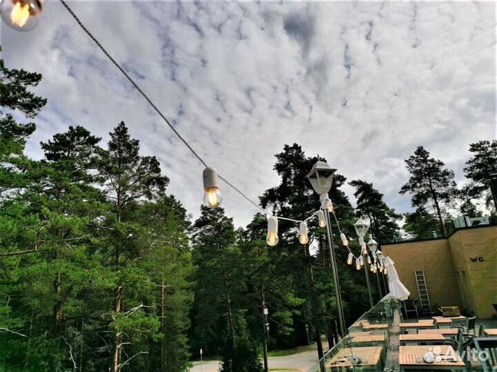 Лампы на проводе