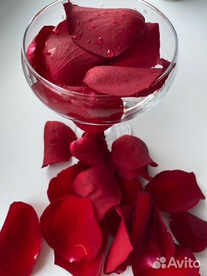 Лепестки роз
