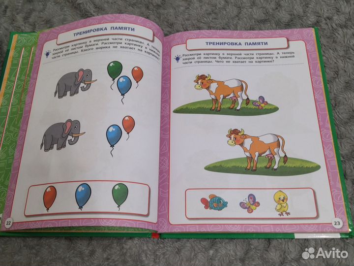 Годовой курс М. А. Жукова