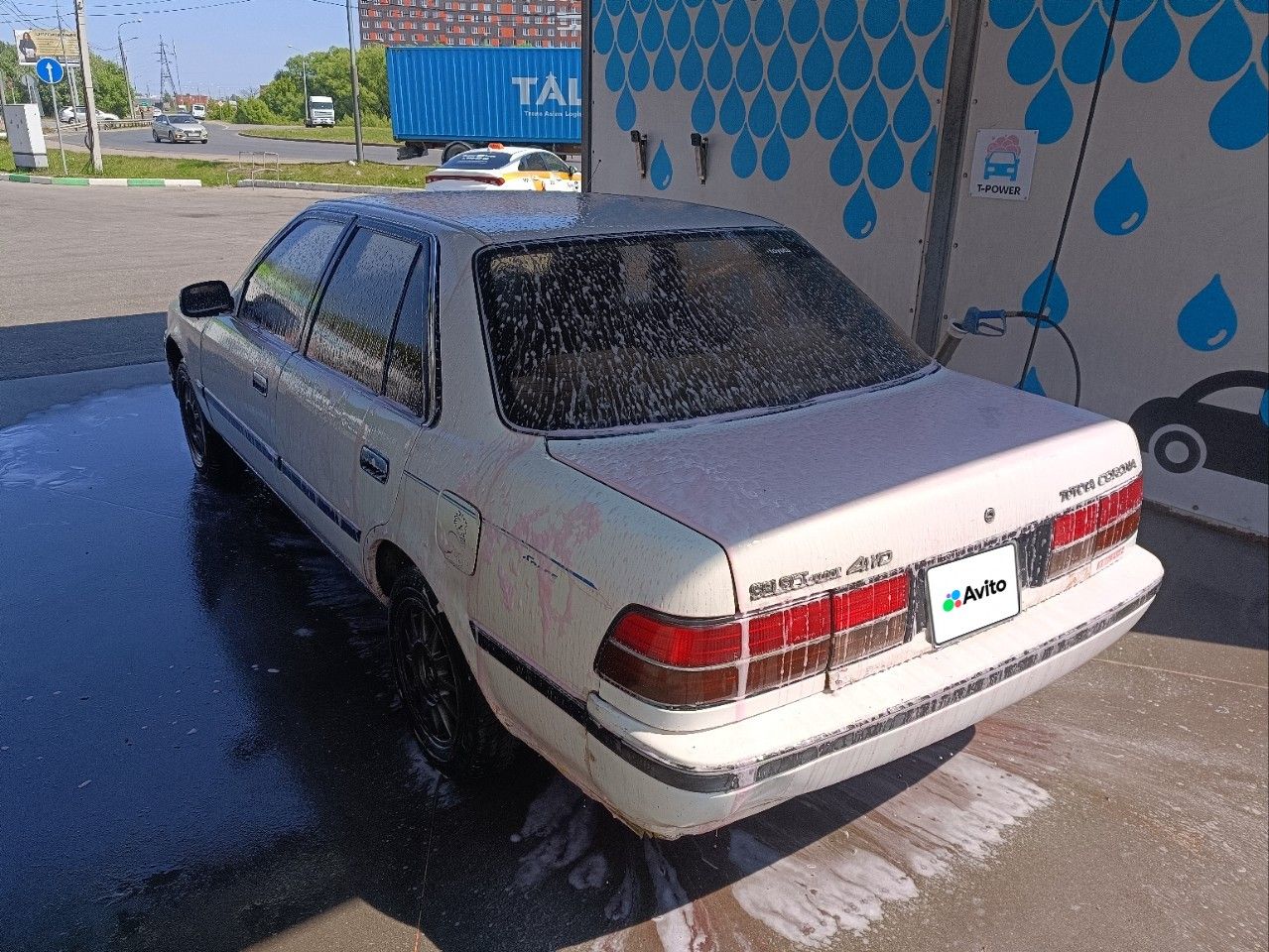 Toyota Corona: фото владельца