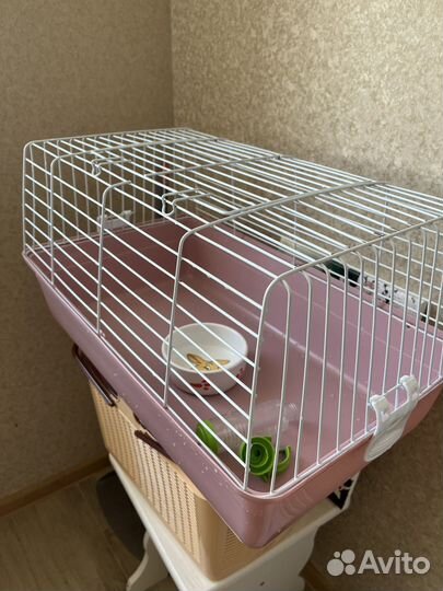 Клетка для морской свинки