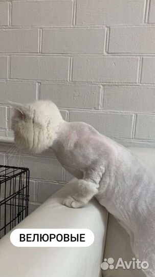 Обучение с нуля