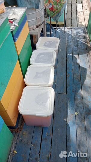 Продам мед оптом,луговое разнотравье