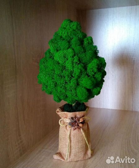 Дерево из стабилизированного мха топиарий
