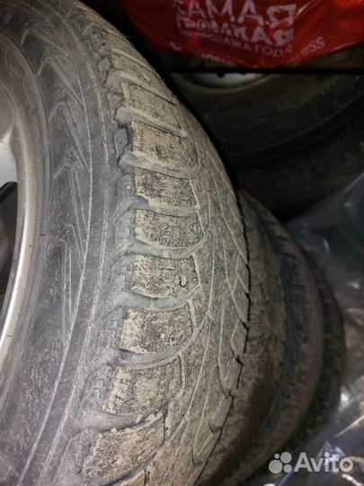 Nokian Tyres Nordman 5 205/60 R16