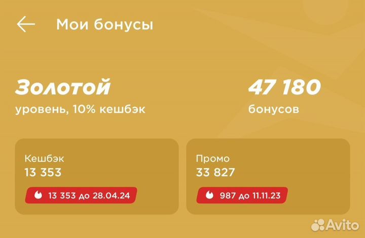 Бонусы Спортмастер Барнаул
