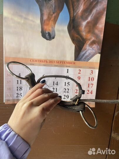 Трензель биотановый кожаный