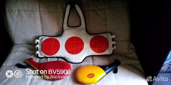 Лапа для единоборств