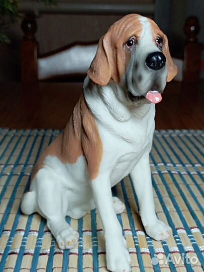 Собака Сенбернар