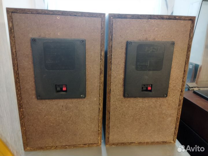 Колонки Радиотехника S30B