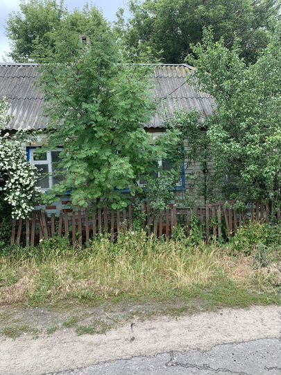 Дом 31,6 м² на участке 4,5 сот.