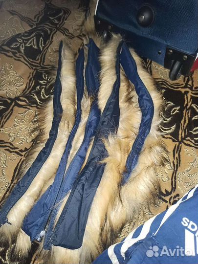 Опушка Енот новая Forward