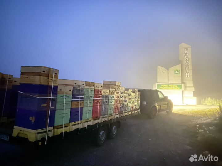 Мед натуральный Башкирия