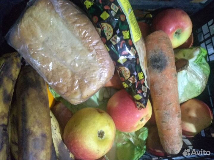 Корма для сельскохозяйственных животных