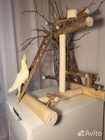 Игровые стенды, площадки для попугаев