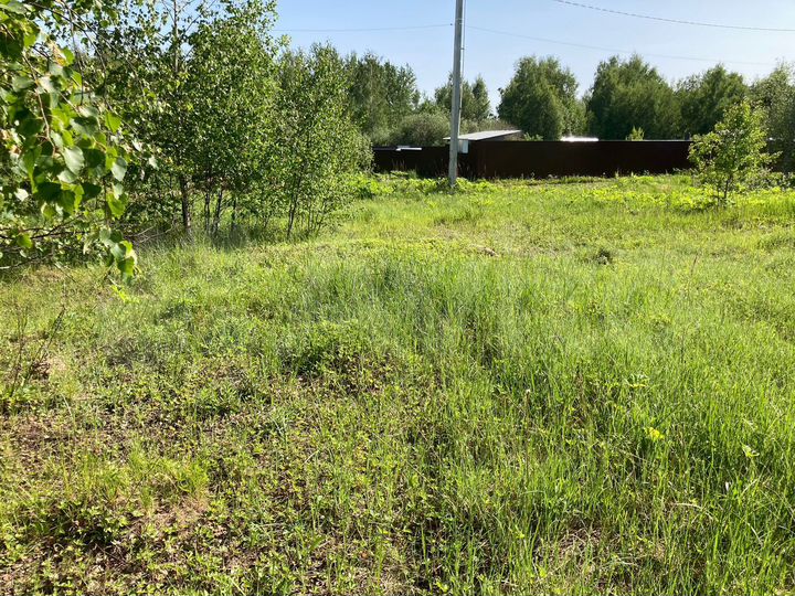 Участок 6 сот. (СНТ, ДНП)