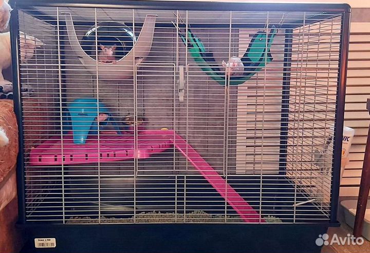 Клетка для грызунов большая Savic Zeno