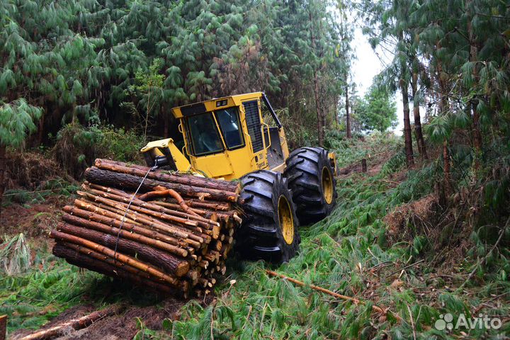 Чокеровщик леса