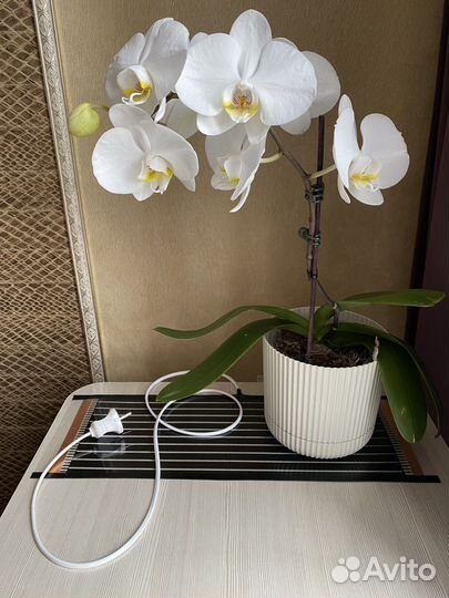 Термоковрик для рептилий и растений