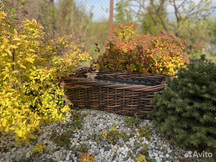 Кашпо, вазон, мини клумба