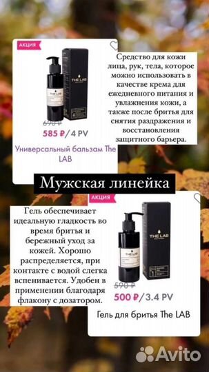 Я являюсь партнёром компании Nl