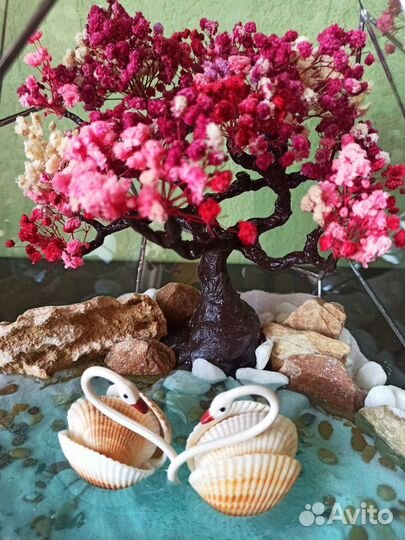 Флорариум, моссариум