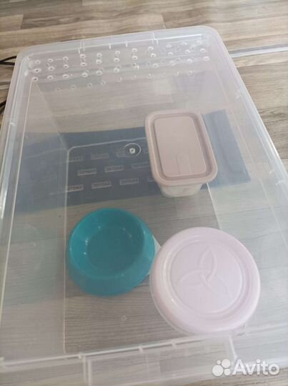 Набор для эублефара