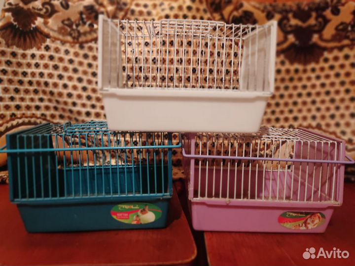 Клетки для мелких грызунов и птиц