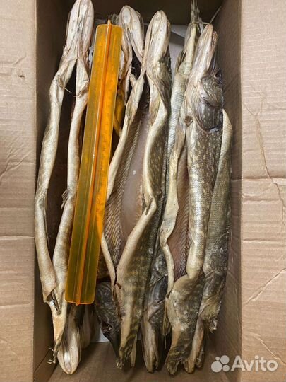 Щука вяленая Астрахань 2023