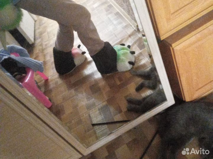 Продам фотоапки для прогулок