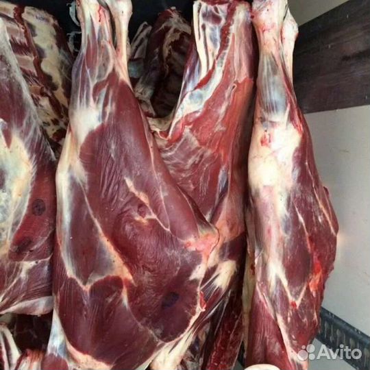 Продам мясо говядина халяль баранина