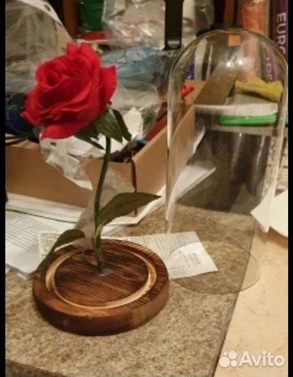 Роза в колбе, вечная роза