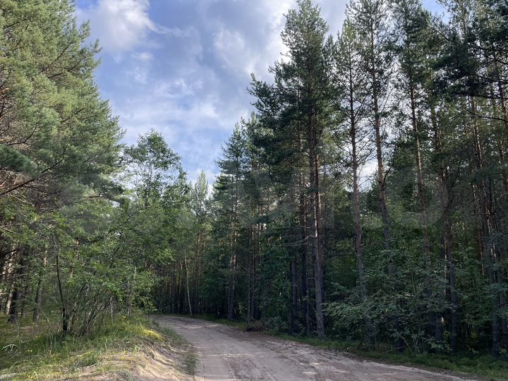 Участок 18 сот. (СНТ, ДНП)